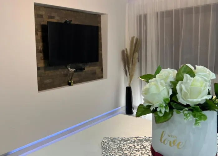 & Me * 兹拉蒂博尔